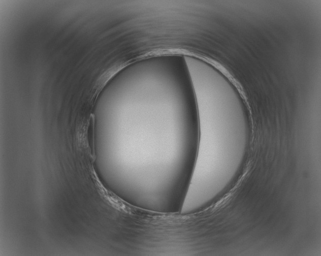 X0000054460905200507291018
