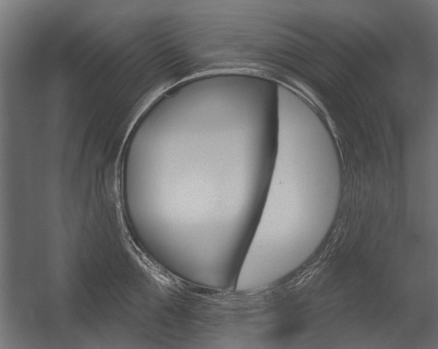 X0000054460907200507291018