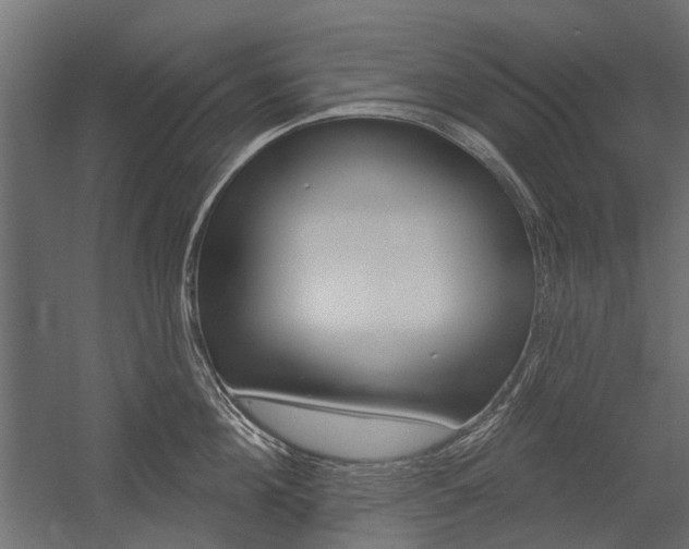 X0000054460908200507291018