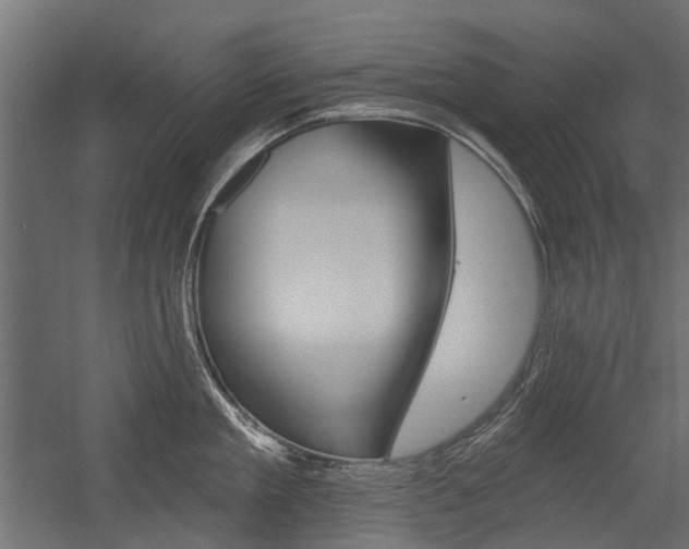 X0000054460909200507291018