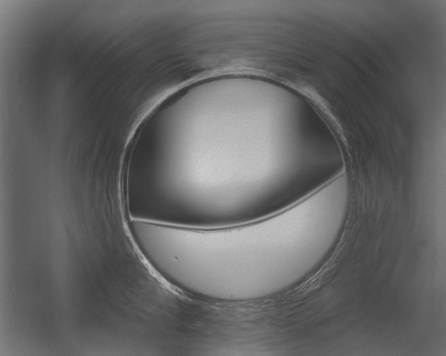 X0000054460910200507291018