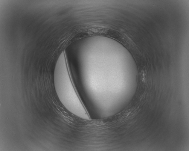 X0000054460915200507291017