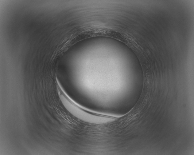X0000054460916200507291017