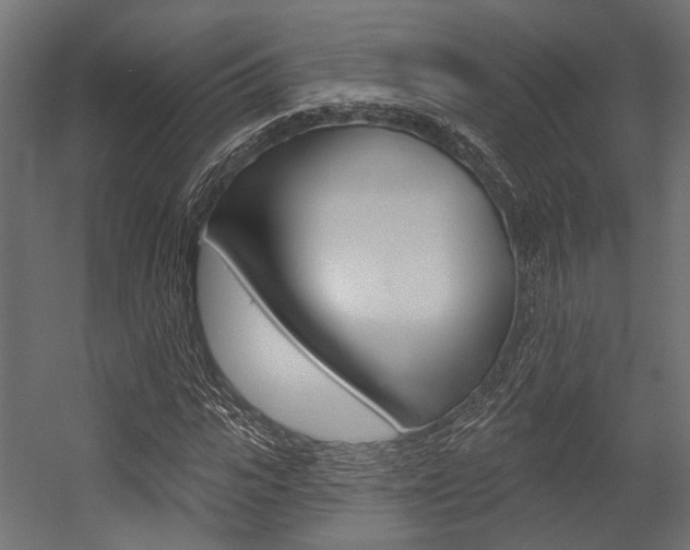 X0000054460919200507291017