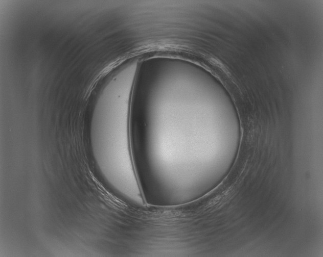 X0000054460922200507291017