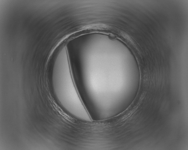 X0000054460923200507291017