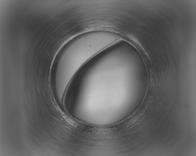 X0000054460924200507291017