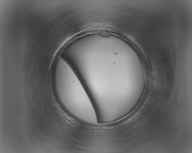 X0000054460925200507291017