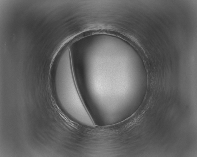 X0000054460927200507291017