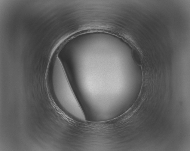 X0000054460928200507291017
