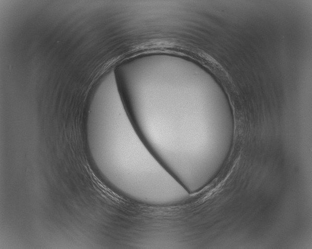 X0000054460929200507291017