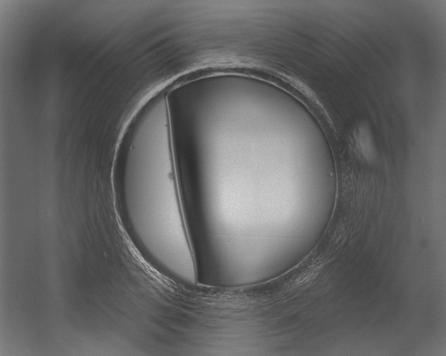X0000054460935200507291017