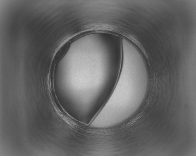 X0000054460936200507291017