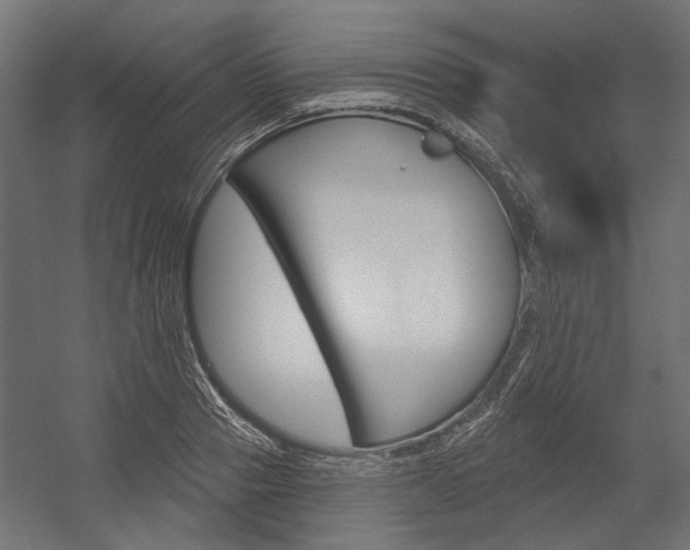 X0000054460937200507291017