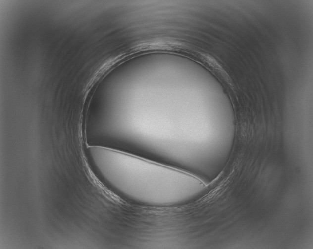 X0000054460938200507291017