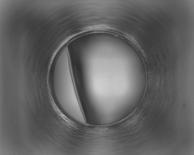 X0000054460939200507291017