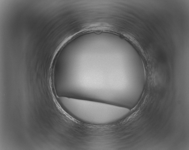 X0000054460941200507291017