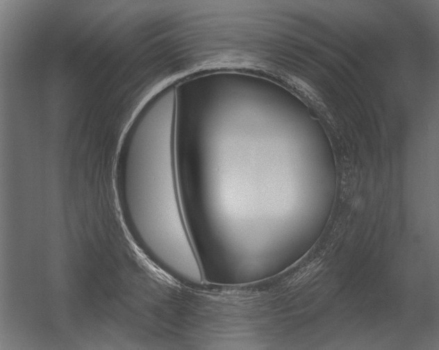 X0000054460942200507291017