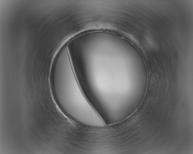 X0000054460943200507291017