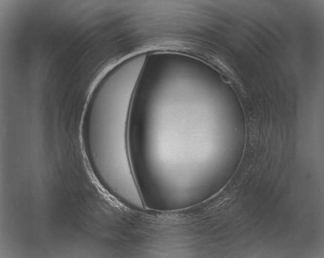 X0000054460944200507291018