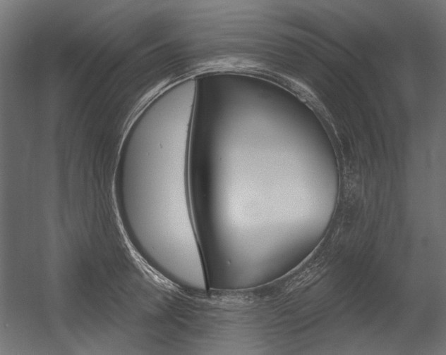 X0000054460946200507291018