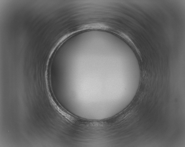X0000054460947200507291018
