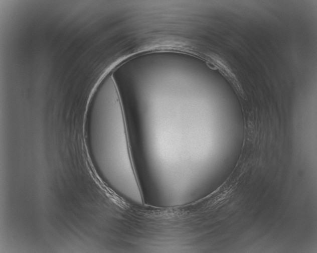 X0000054460948200507291018
