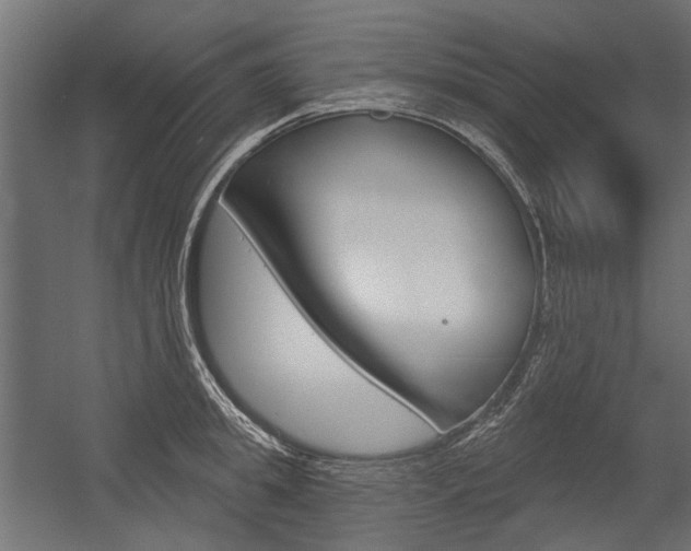 X0000054460949200507291018