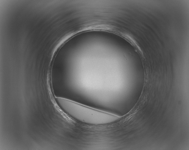 X0000054460952200507291018
