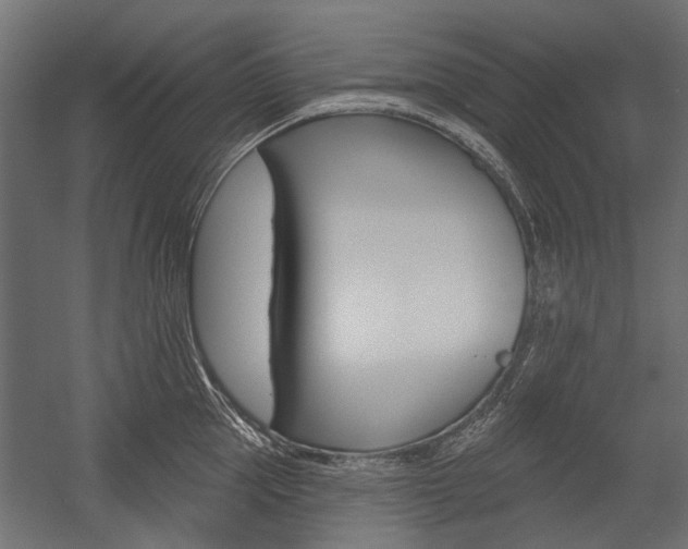 X0000054460953200507291018