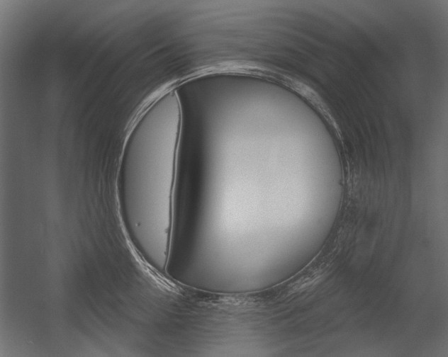 X0000054460954200507291018