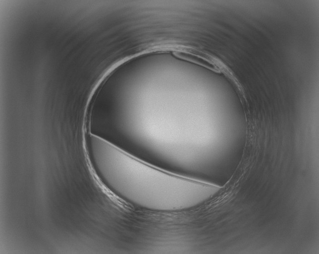 X0000054460955200507291018