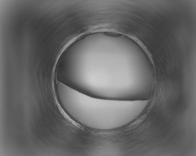 X0000054460957200507291018