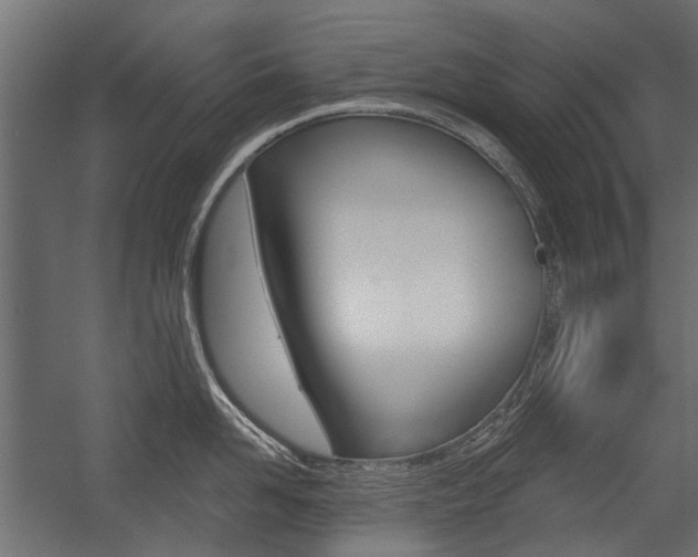 X0000054460958200507291018