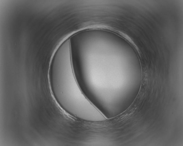 X0000054460959200507291018
