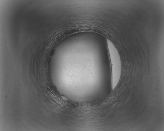 X0000054460961200507291017