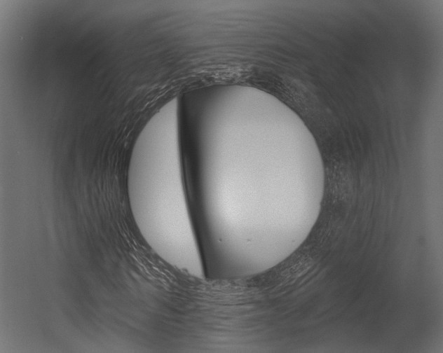 X0000054460962200507291017