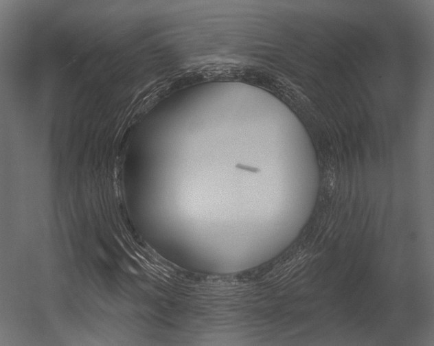 X0000054460964200507291017