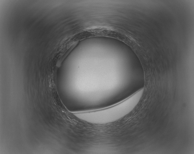 X0000054460965200507291017