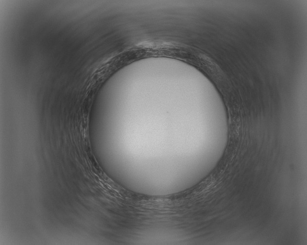 X0000054460966200507291017