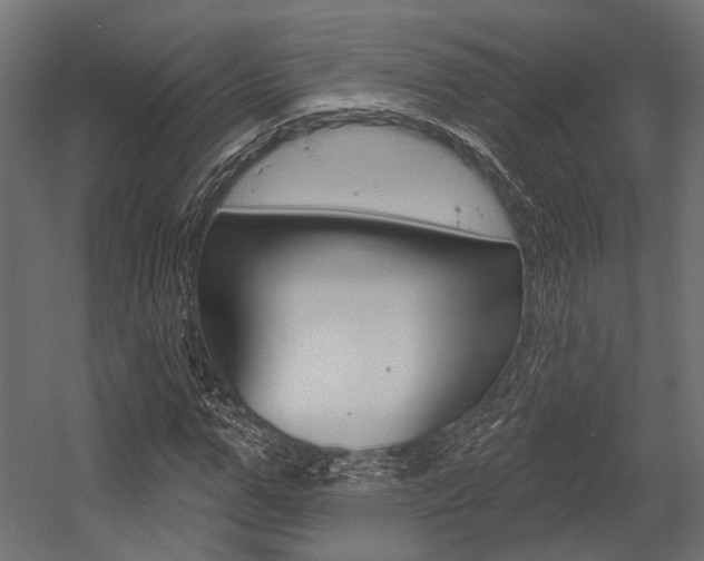 X0000054460967200507291017