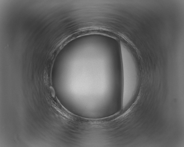 X0000054460969200507291017