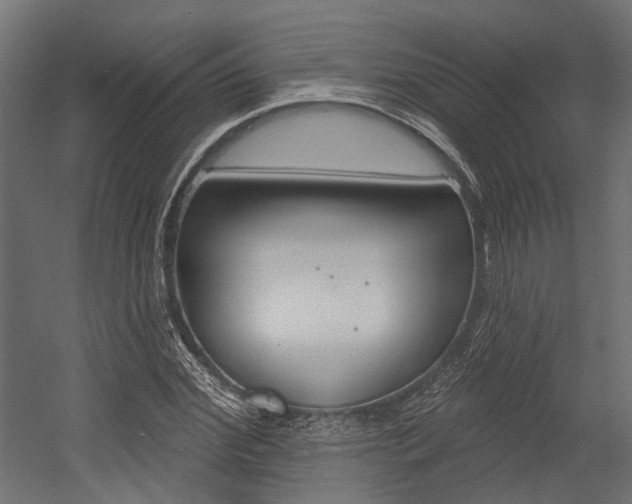 X0000054460972200507291017