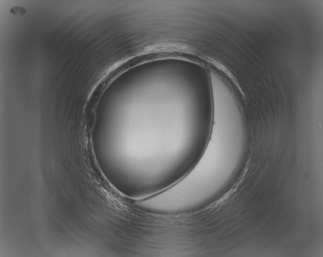 X0000054460973200507291017