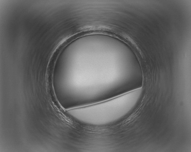 X0000054460975200507291017