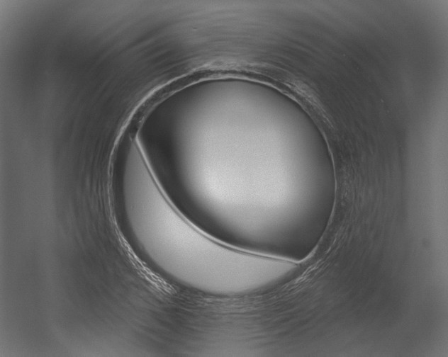 X0000054460976200507291017