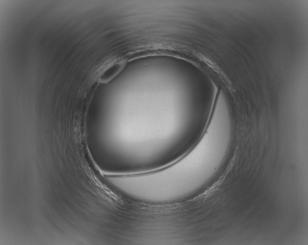 X0000054460977200507291017