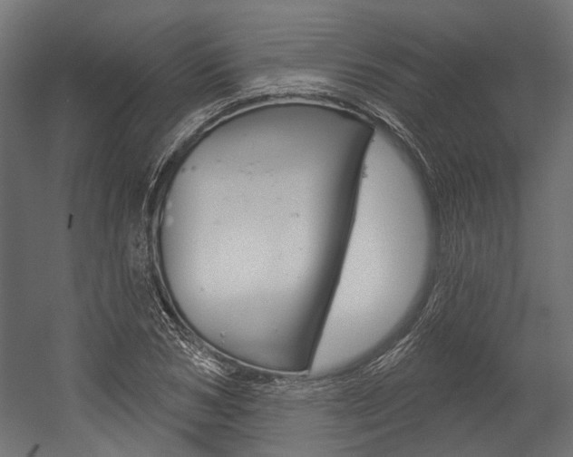 X0000054460978200507291017