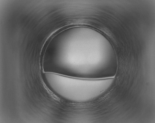 X0000054460980200507291017