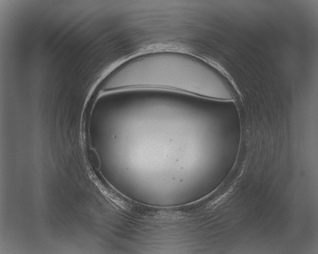 X0000054460981200507291017